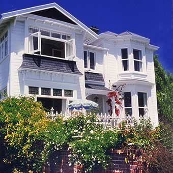 Welcome to the warmth, character and inviting comfort of Walmer, close to the Nelson waterfront overlooking Tasman Bay. 