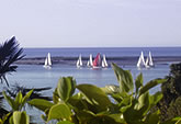 Throw open the window, enjoy the sunshine and spectacular views of ships coming and going... yachts racing under sail... and the warm Tasman Bay waters. 